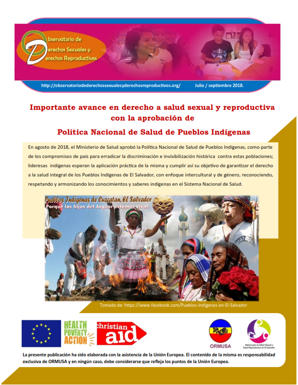 Lee más sobre el artículo Boletin n° 3-2018: importante avance en derecho a salud sexual y reproductiva con la aprobación de política nacional de salud de pueblos indígenas