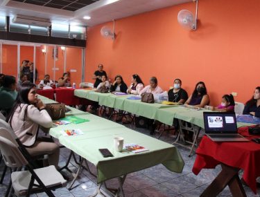Presentación de informe sobre Derechos Sexuales y Derechos Reproductivos a Unidades Municipales de Género del departamento La Paz