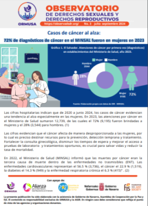 Lee más sobre el artículo Boletín N° 3 – 2024  – 72% de diagnósticos de cáncer en el MINSAL fueron en mujeres en 2023