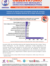 Boletín N° 3 – 2026 , Tumores en mamas entre principales causas de consulta externa en el Hospital Nacional de la Mujer durante 2025